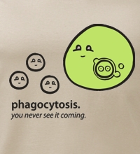 potisk trička fagocytóza